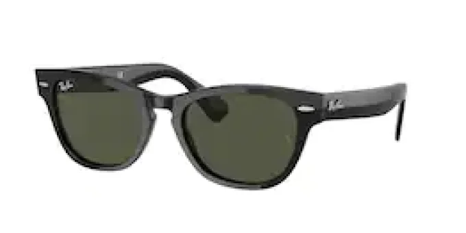 Collection RAYBAN